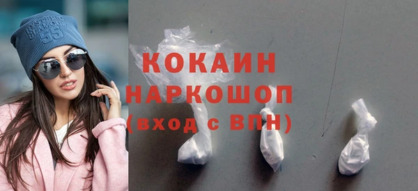 дмт Гусев