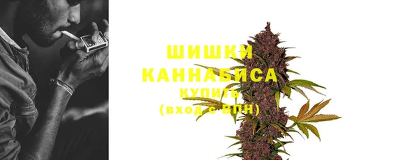 сатива Горно-Алтайск
