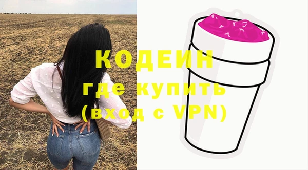 дмт Гусев