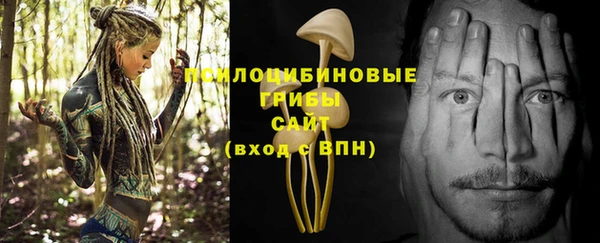 дмт Гусев