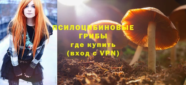 дмт Гусев